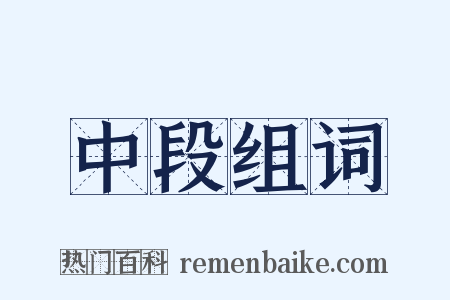 中段组词是什么意思的图片